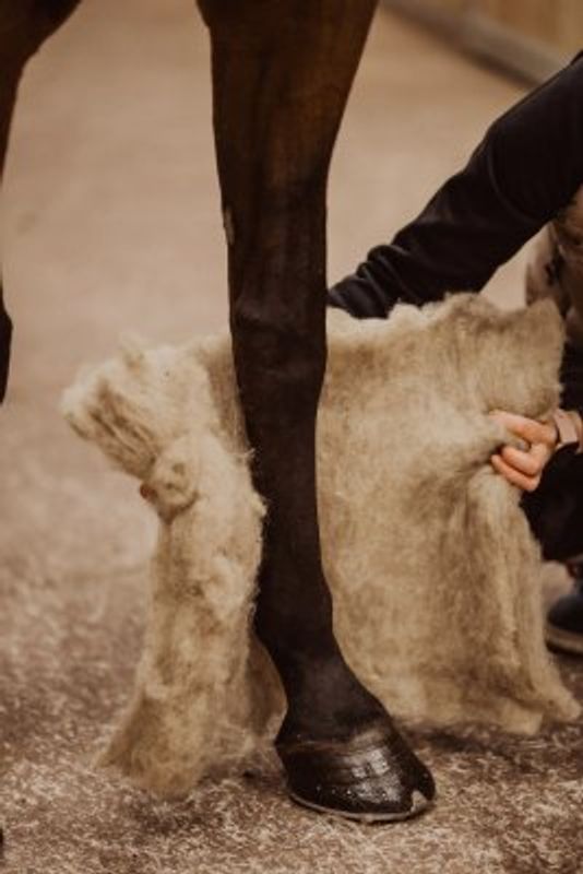 VILLAge Wool Pads