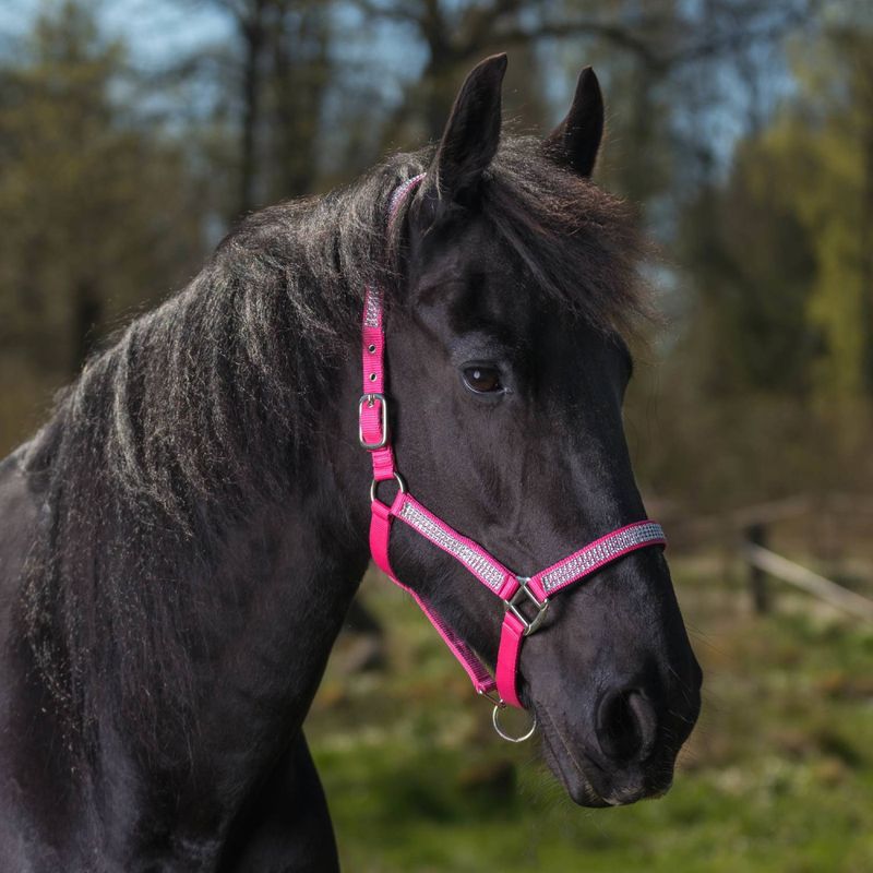Globus -grime med bling, 