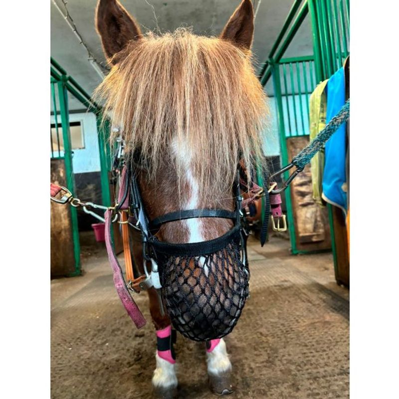 Pullernett Star Tack