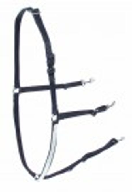 Hovedbilde Y-bryst Walsh, nylon