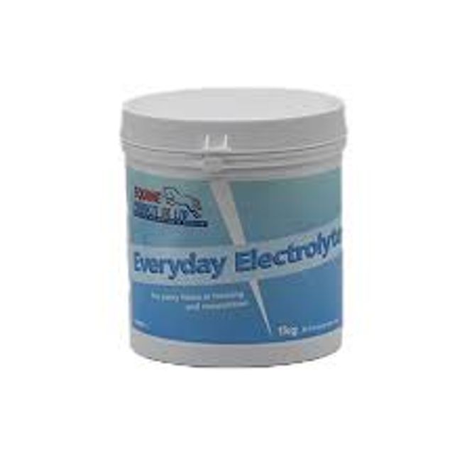 Hovedbilde Everyday Elektrolytter