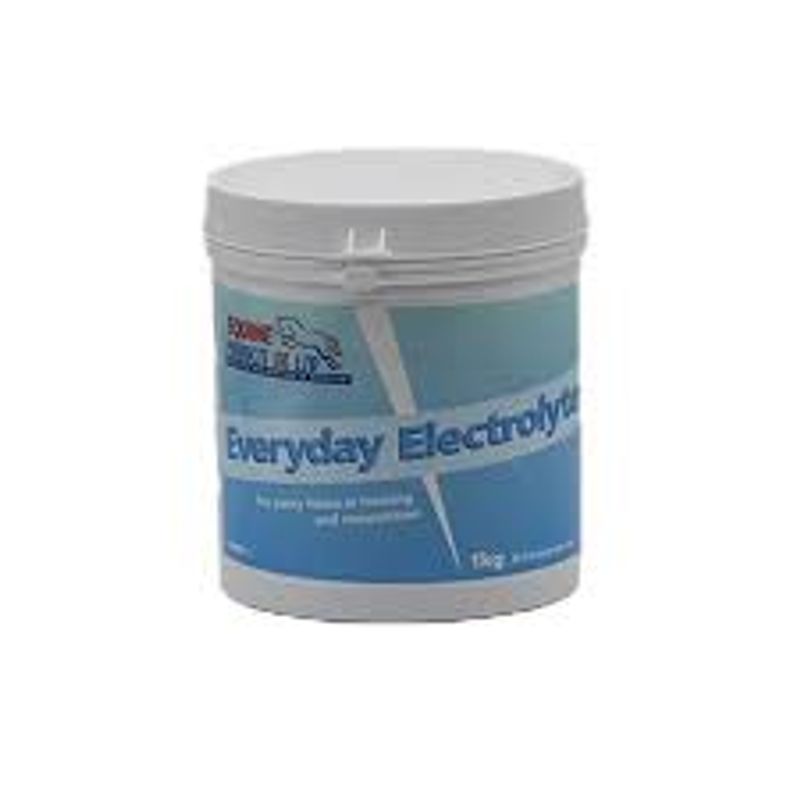 Everyday Elektrolytter