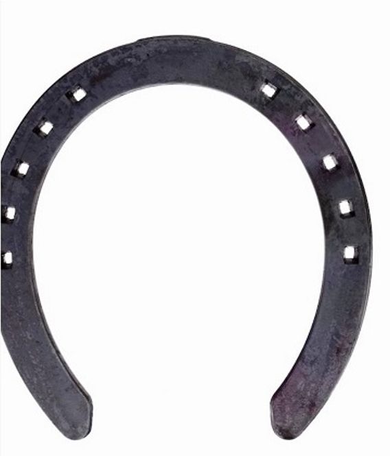 Hovedbilde Mustad Rapid travsko m/tåkappe 16x6