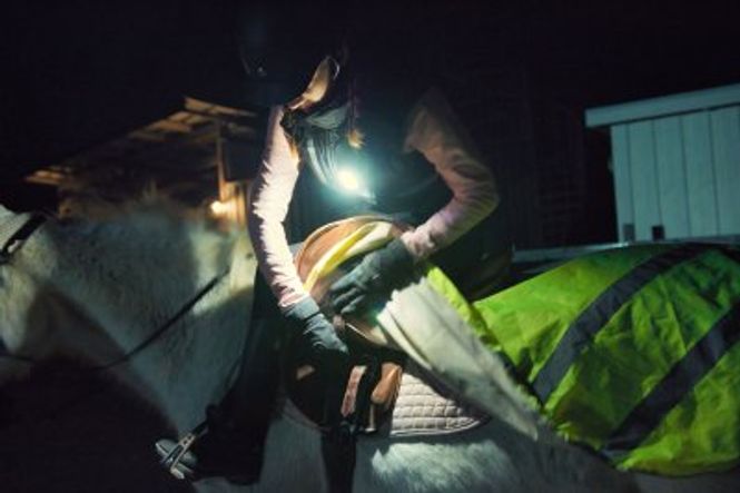 Hovedbilde Meolinq Light Plus