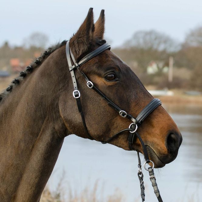 Hovedbilde Hodelag 