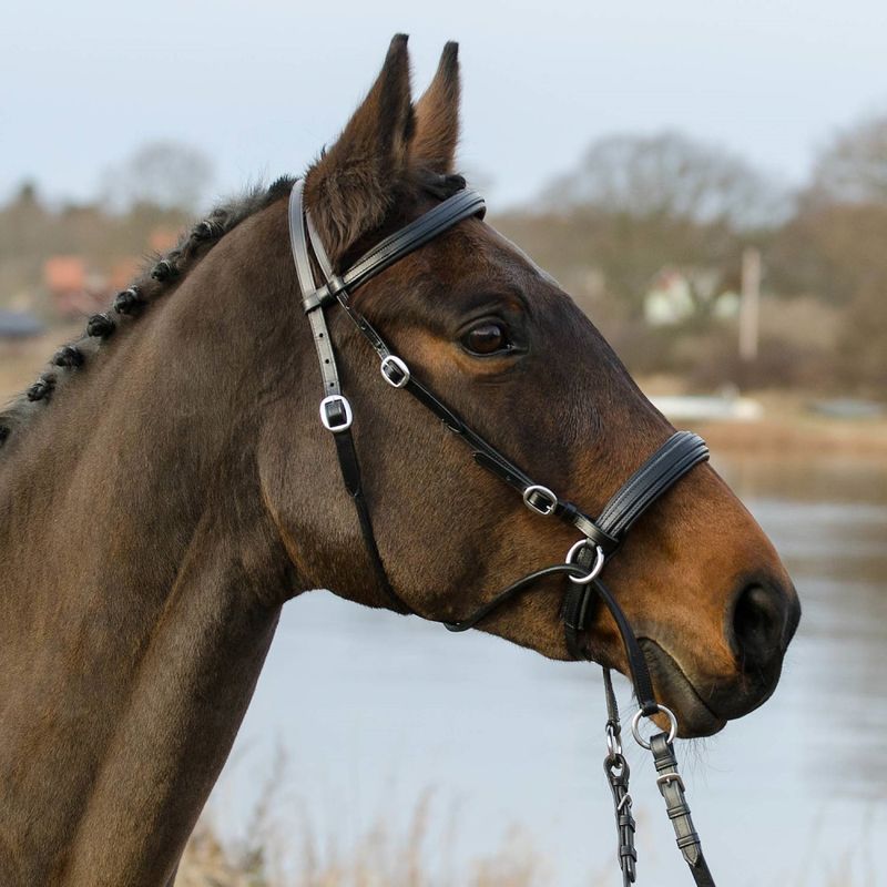 Hodelag 