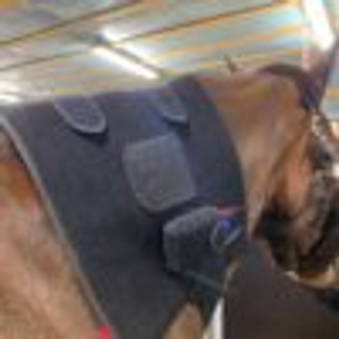 Hovedbilde Riislund Light Therapy Blue