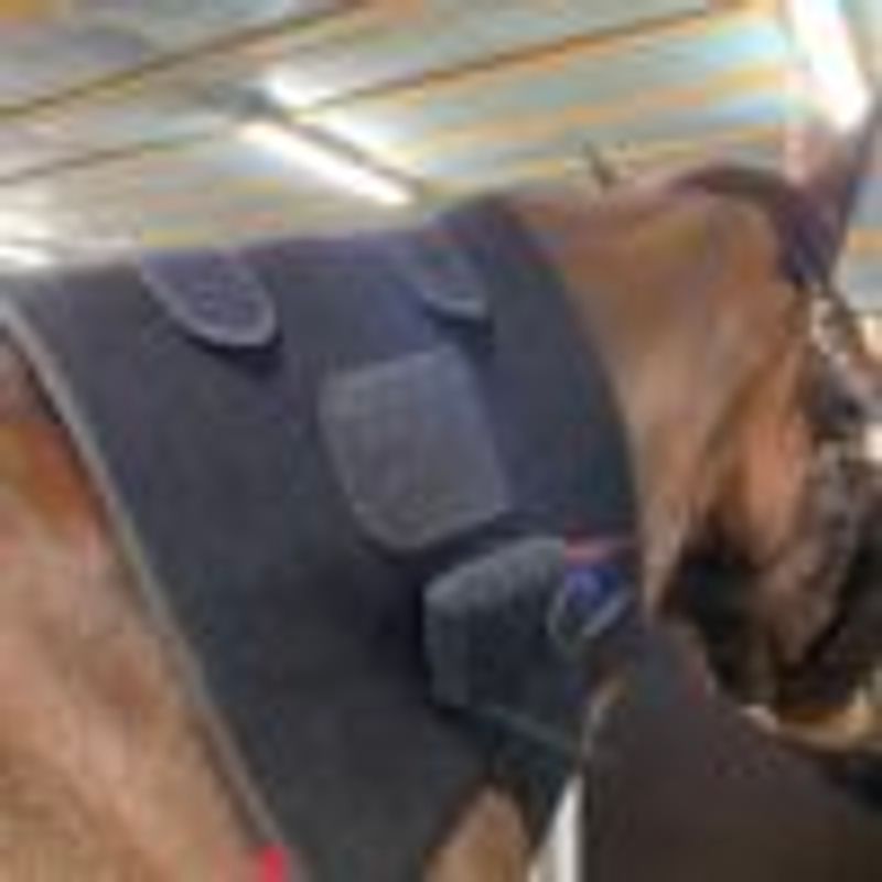 Riislund Light Therapy Blue