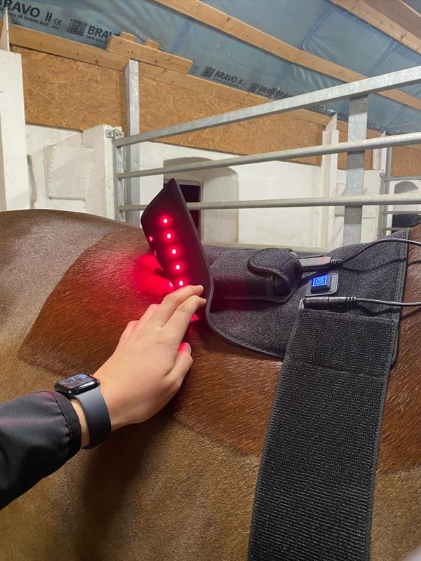 Riislund Light Therapy MIX Pro 